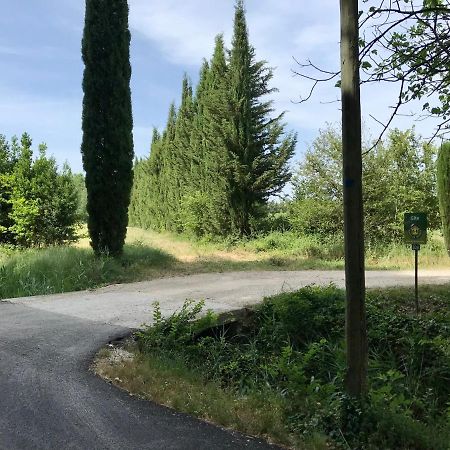 Villa Le Jardin d'Érables St Remy 7 HA Piscine/Clim Paluds de Noves Esterno foto