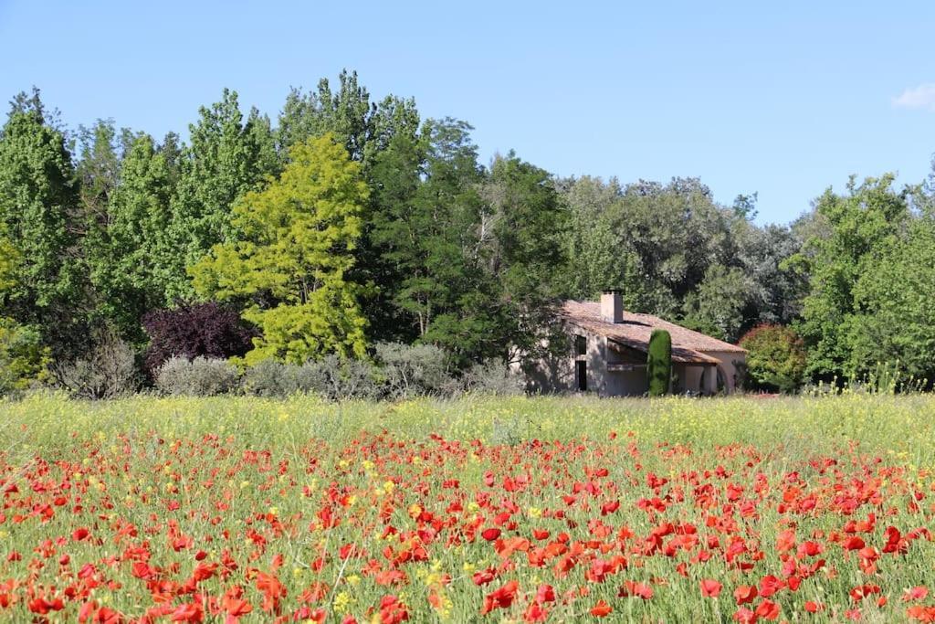 Villa Le Jardin d'Érables St Remy 7 HA Piscine/Clim Paluds de Noves Esterno foto