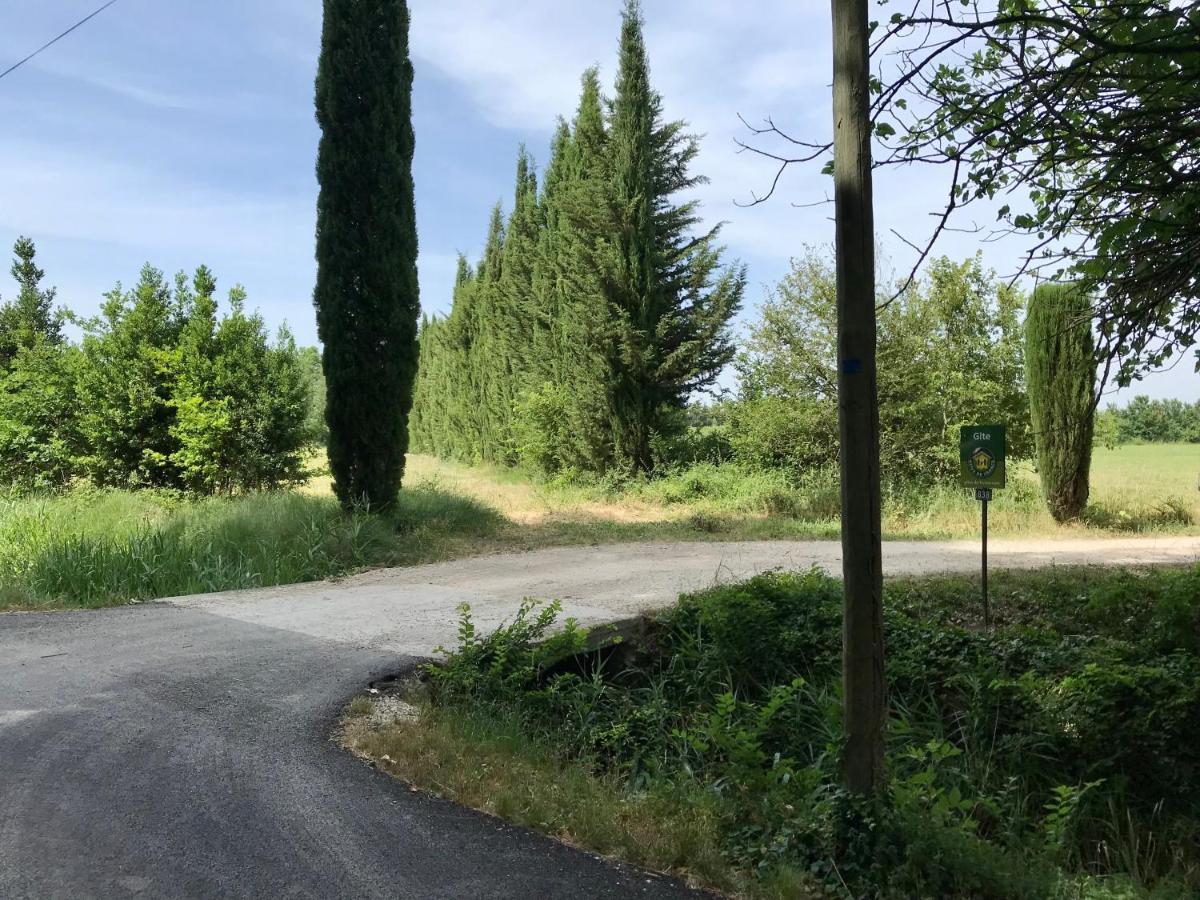 Villa Le Jardin d'Érables St Remy 7 HA Piscine/Clim Paluds de Noves Esterno foto